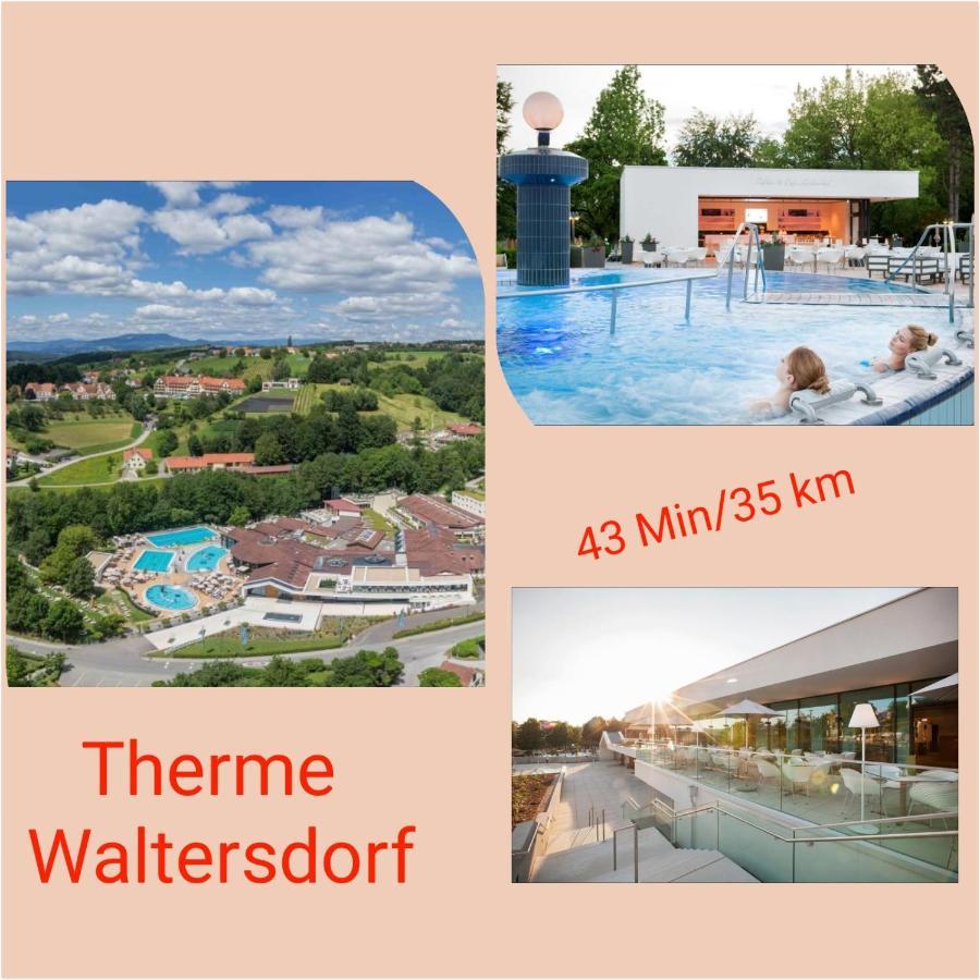 Apartment Schloffer Weiz Dış mekan fotoğraf